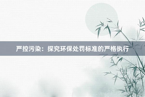 严控污染：探究环保处罚标准的严格执行